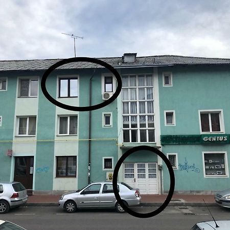 Vintage Apartment スチャヴァ エクステリア 写真