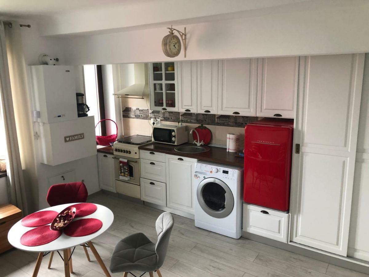 Vintage Apartment スチャヴァ エクステリア 写真
