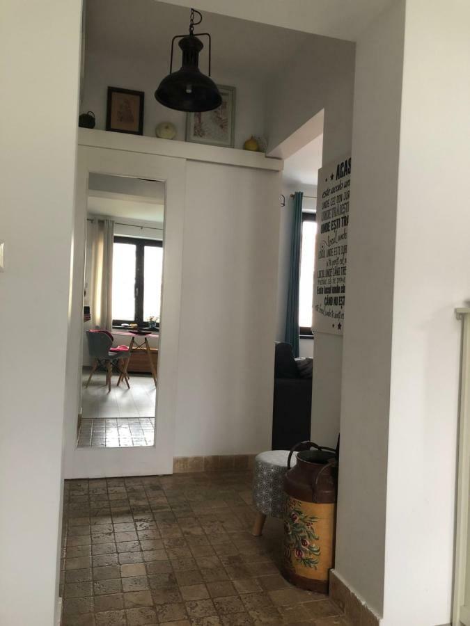 Vintage Apartment スチャヴァ エクステリア 写真