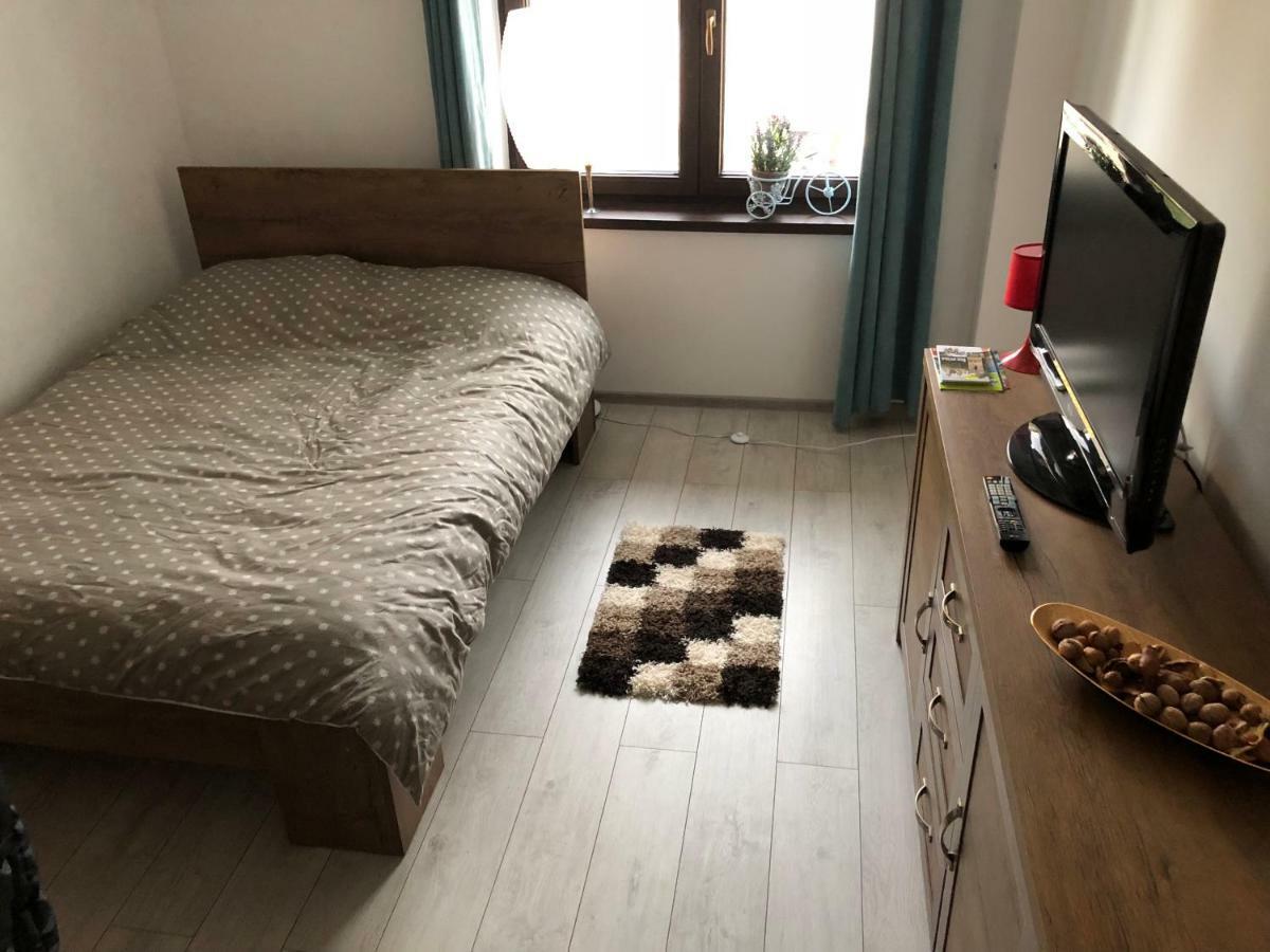 Vintage Apartment スチャヴァ エクステリア 写真