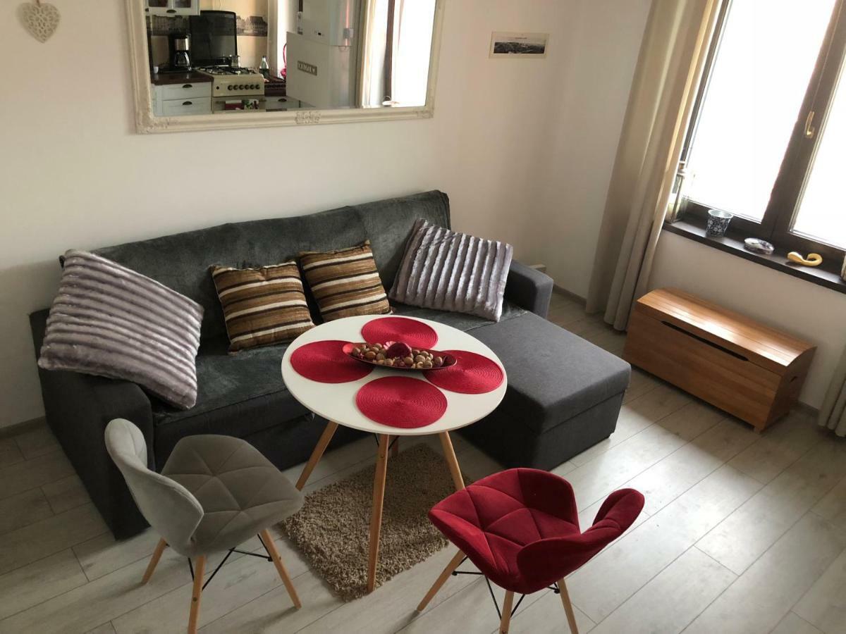 Vintage Apartment スチャヴァ エクステリア 写真