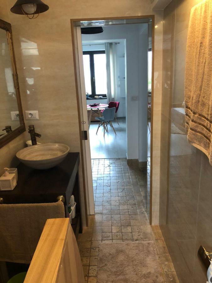 Vintage Apartment スチャヴァ エクステリア 写真