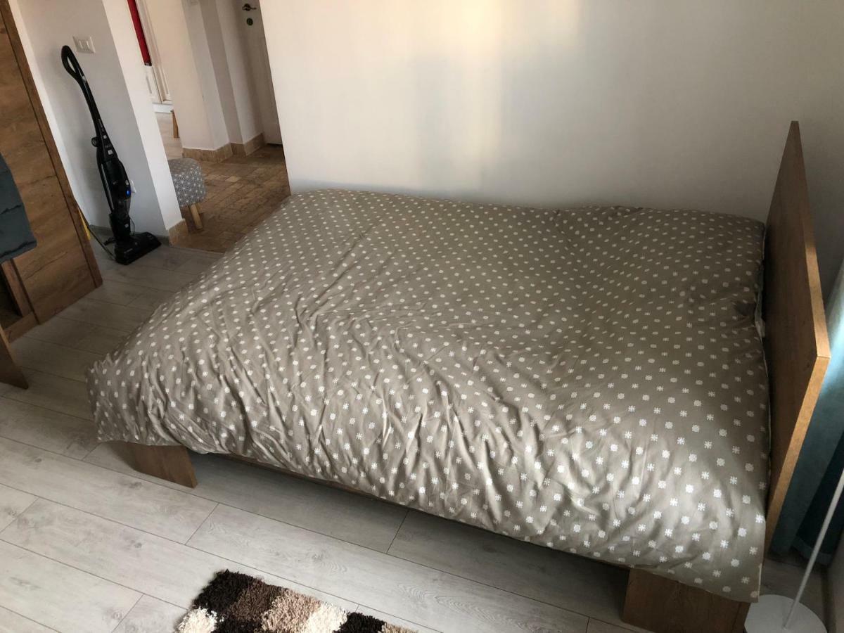 Vintage Apartment スチャヴァ エクステリア 写真